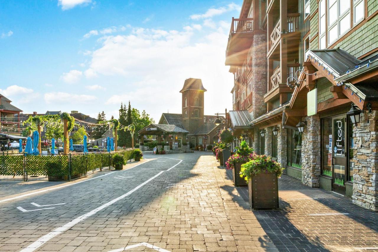 211 Chateau Ridge Блу-Маунтинс Экстерьер фото